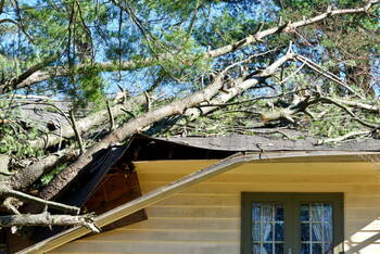 Storm Damage in King, Ontario by All Climate Constructions LLC